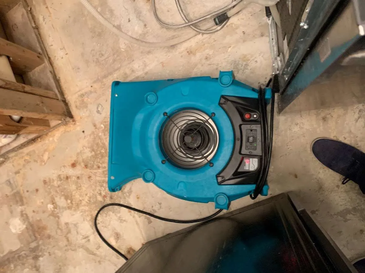 Air mover drying equipment for Mold Remediation & Removal in Fairview Shores